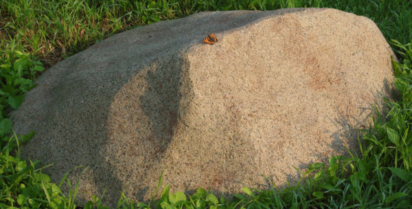 Декоративная крышка люка под камень «Стандарт» D-100